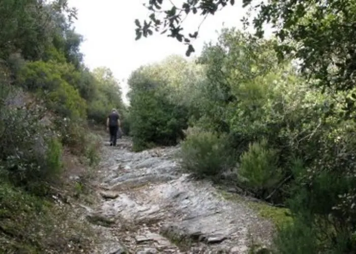 Bed & Breakfast La Maison Du Voyageur 3*